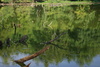 Tranquility<br/> It was mesmerizing.